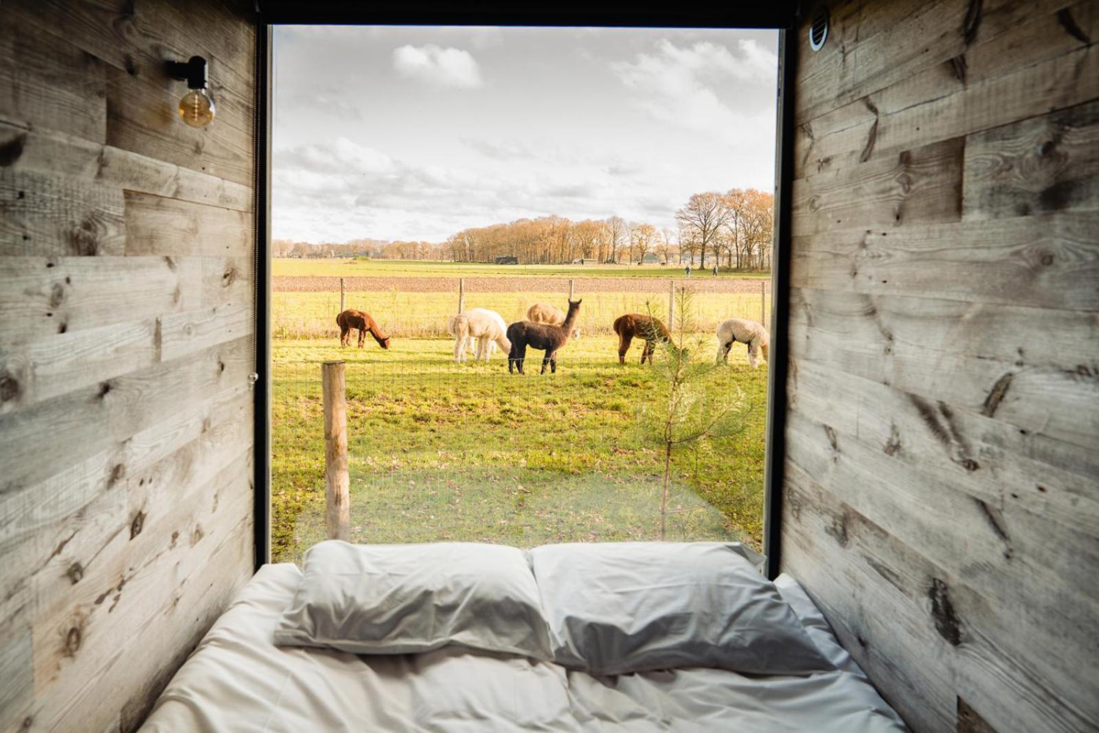 In De Hei Bed & Breakfast Mariahout Exterior photo